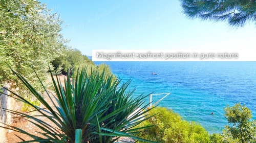  Attractive building land of 1.629 m2 first row to the sea near Dubrovnik